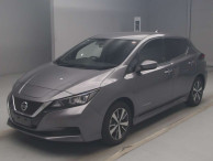 2020 Nissan Leaf