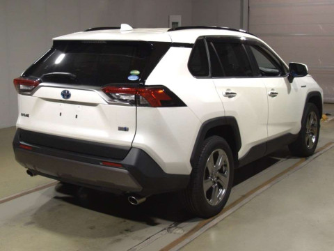 2019 Toyota RAV4 AXAH54[1]