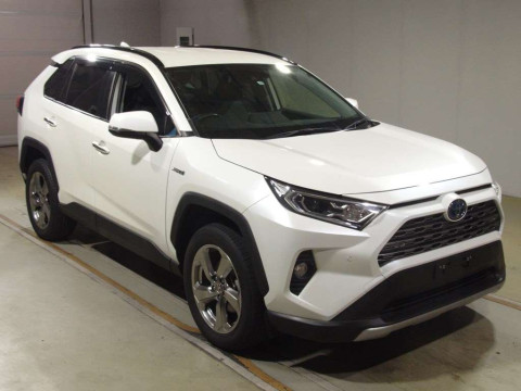 2019 Toyota RAV4 AXAH54[2]