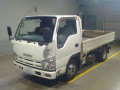 2011 Isuzu Elf Truck