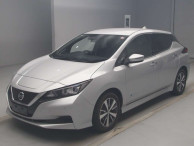 2020 Nissan Leaf