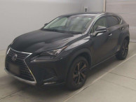 2018 Lexus NX