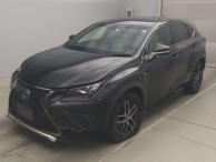 2019 Lexus NX