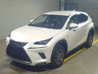 2019 Lexus NX