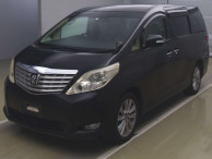 2010 Toyota Alphard