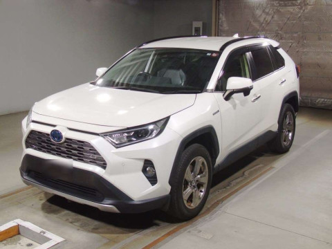 2019 Toyota RAV4 AXAH54[0]