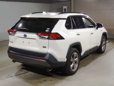 2019 Toyota RAV4 AXAH54[1]