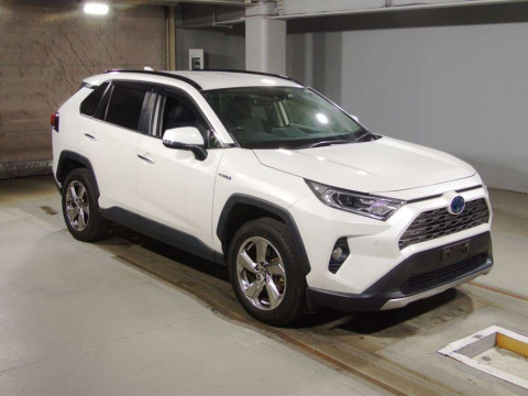 2019 Toyota RAV4 AXAH54[2]