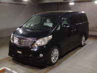 2010 Toyota Alphard