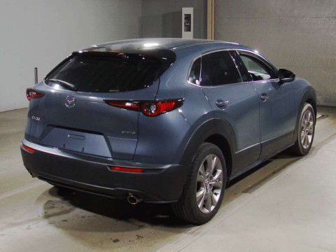 2019 Mazda CX-30 DMEP[1]