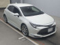 2019 Toyota Corolla Sports