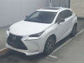 2014 Lexus NX