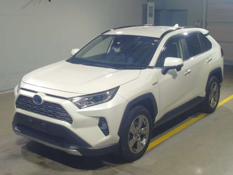 2019 Toyota RAV4 AXAH54[0]