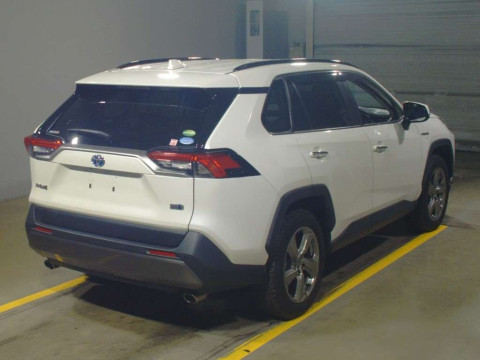 2019 Toyota RAV4 AXAH54[1]