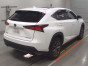 2019 Lexus NX