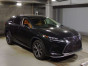 2019 Lexus RX