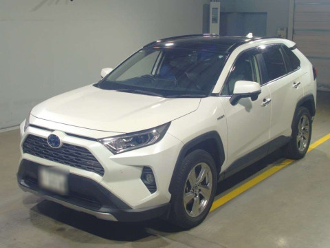 2019 Toyota RAV4 AXAH54[0]