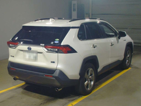 2019 Toyota RAV4 AXAH54[1]