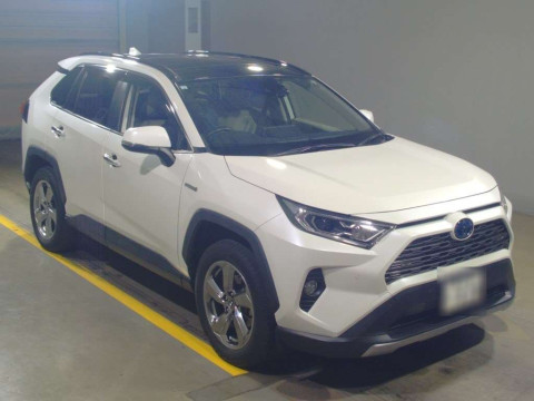 2019 Toyota RAV4 AXAH54[2]