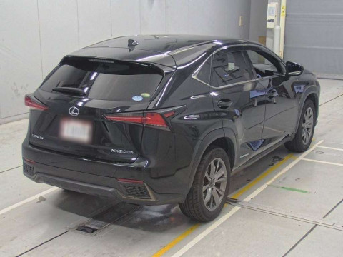 2019 Lexus NX AYZ15[1]