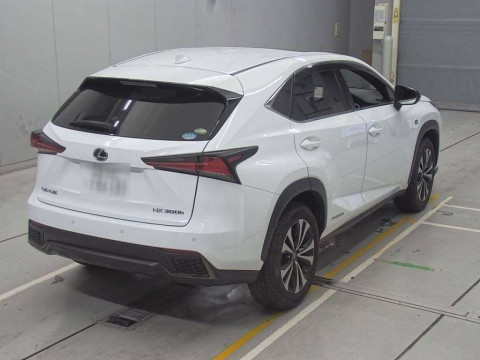 2018 Lexus NX AYZ10[1]