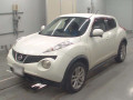 2010 Nissan JUKE