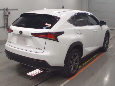 2020 Lexus NX AGZ15[1]