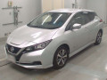 2019 Nissan Leaf