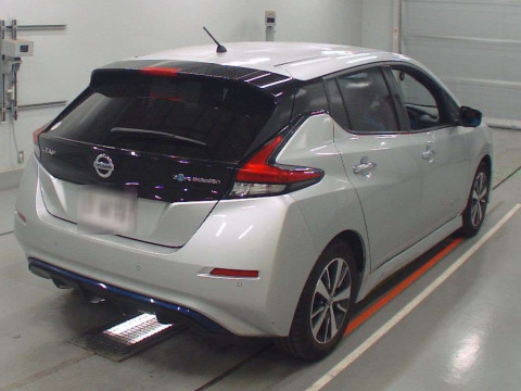 2019 Nissan Leaf ZE1[1]