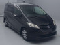 2010 Honda Freed