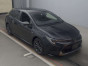 2019 Toyota Corolla Touring Wagon