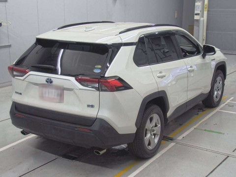 2019 Toyota RAV4 AXAH52[1]