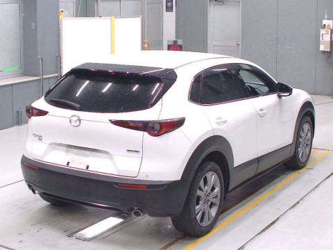 2019 Mazda CX-30 DMEP[1]