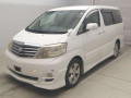 2007 Toyota Alphard G