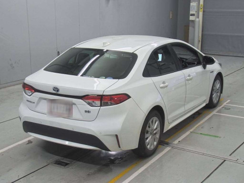 2019 Toyota Corolla Sedan ZWE211[1]