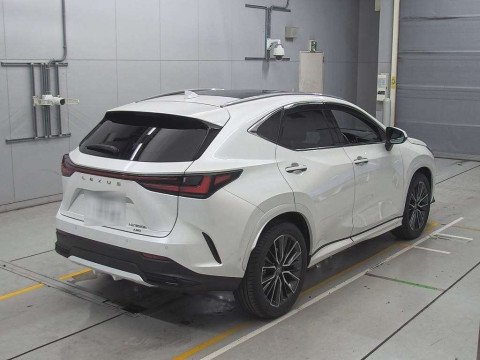 2024 Lexus NX AAZH25[1]