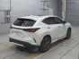 2024 Lexus NX