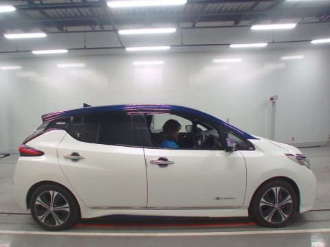 2017 Nissan Leaf ZE1[2]