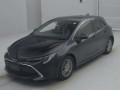 2020 Toyota Corolla Sports