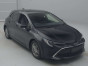 2020 Toyota Corolla Sports