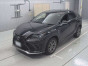 2020 Lexus NX