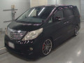 2010 Toyota Alphard