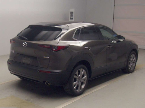 2019 Mazda CX-30 DMEP[1]