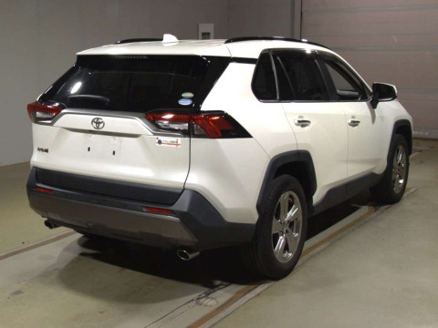 2019 Toyota RAV4 MXAA54[1]