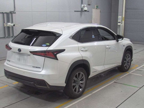 2020 Lexus NX AYZ15[1]