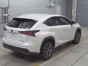 2020 Lexus NX