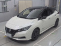 2021 Nissan Leaf