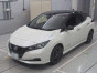 2021 Nissan Leaf