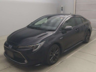 2019 Toyota Corolla Sedan