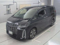 2021 Toyota Alphard